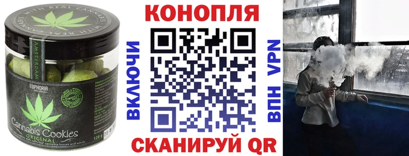 где найти   OMG как войти  Canna-Cookies марихуана  Чулым 